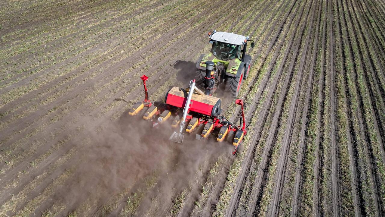 Ein Traktor fährt zur Maisaussaat über ein gefurchtes Feld. 