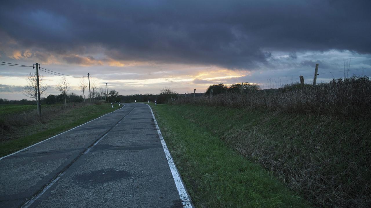 Straße in Brandenburg bei Fürstenwerder am Großen See