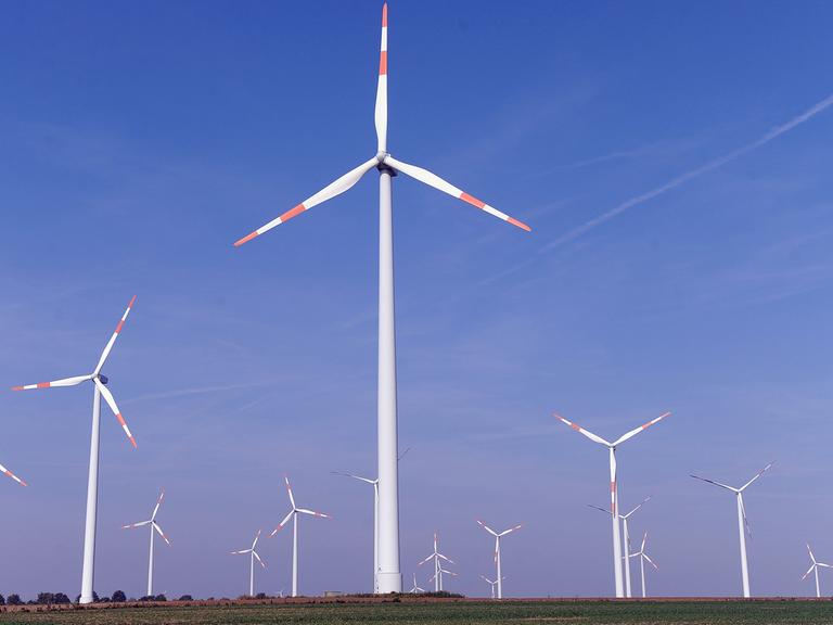 Eine Windkraftanlage in Alsleben in Sachsen-Anhalt