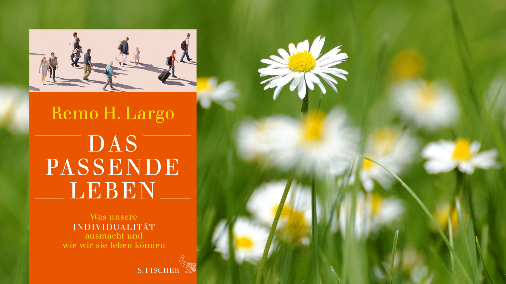 Remo H. Largos Buch "Das passende Leben". Im Hintergrund: Gänseblümchen.
