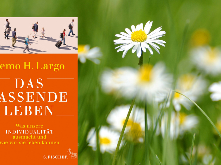 Remo H. Largos Buch "Das passende Leben". Im Hintergrund: Gänseblümchen.