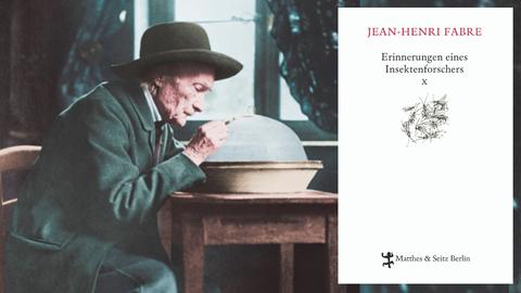 Jean-Henri Fabre: "Erinnerungen eines Insektenforschers" Zu sehen sind Jean-Henri Fabre bei der Insektenbeobachtung an seinem Schreibtisch und das Buchcover