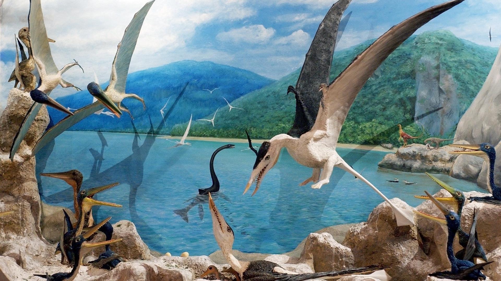 Eine fast realistische Darstellung des Lebensraumes der Flugsaurier (Pterodactylus) vor etwa 140 Millionen Jahren zeigt ein Modell im Naturkundemuseum in Leipzig.
