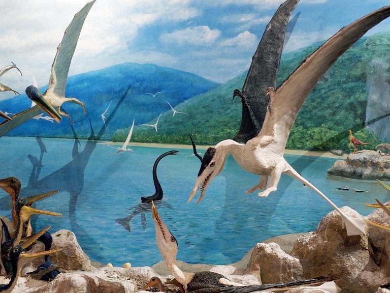 Eine fast realistische Darstellung des Lebensraumes der Flugsaurier (Pterodactylus) vor etwa 140 Millionen Jahren zeigt ein Modell im Naturkundemuseum in Leipzig.