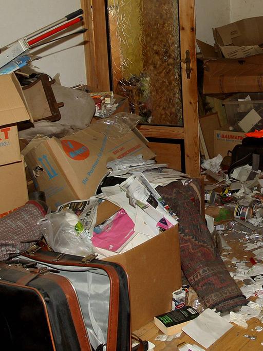 Eine vermüllte Wohnung: Kisten, eine Leiter, ein alter Koffer und viele weitere Gegenstände sind auf dem Boden zu sehen.