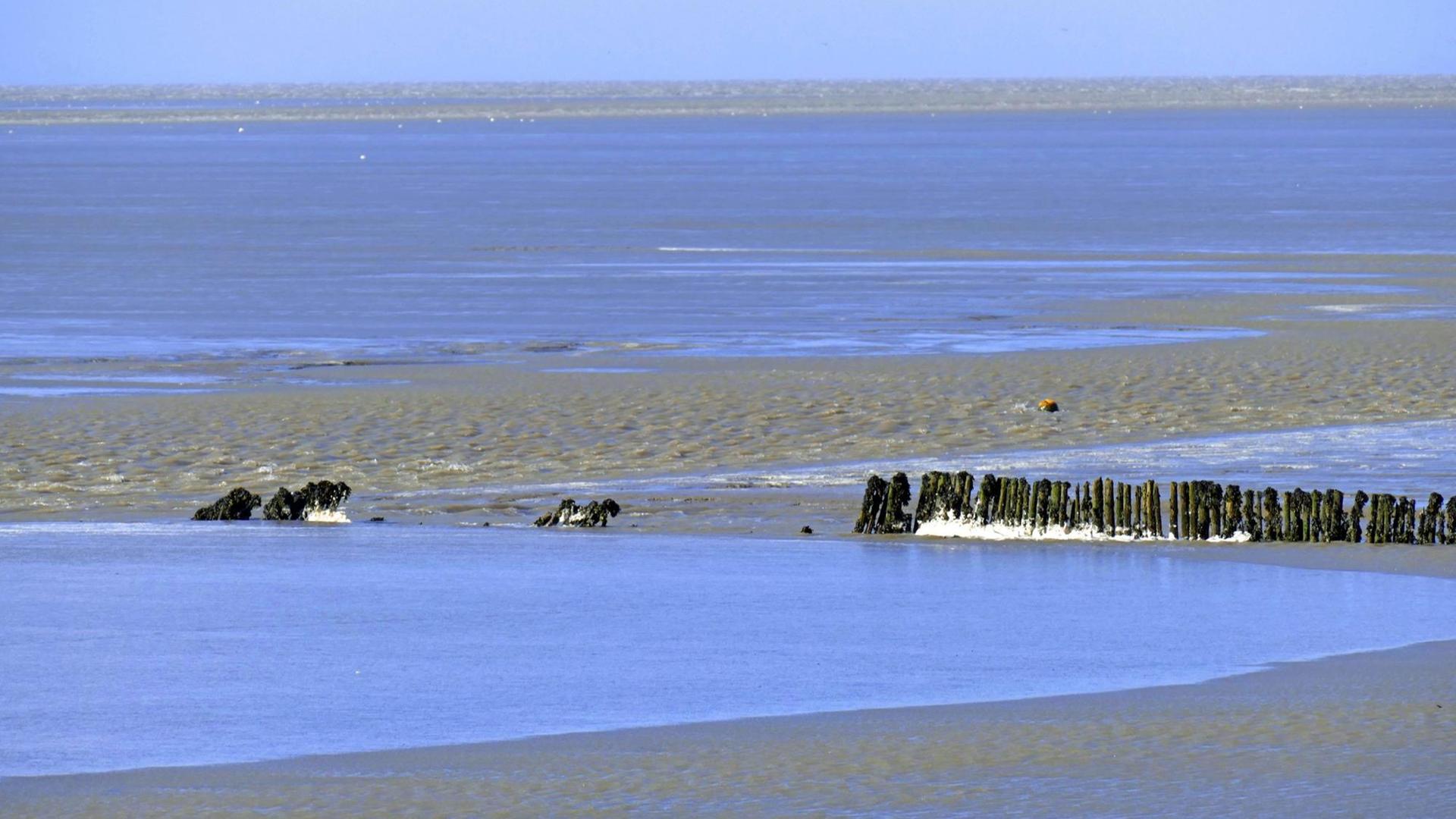 Eine alte Buhne an der Nordseeküste bei Niedrigwasser vor Cuxhaven in Niedersachsen.