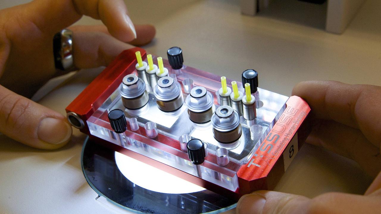 Ein Multi-Organ-Chip – etwa smartphonegroß mit Zylindern, die Gewebe enthalten