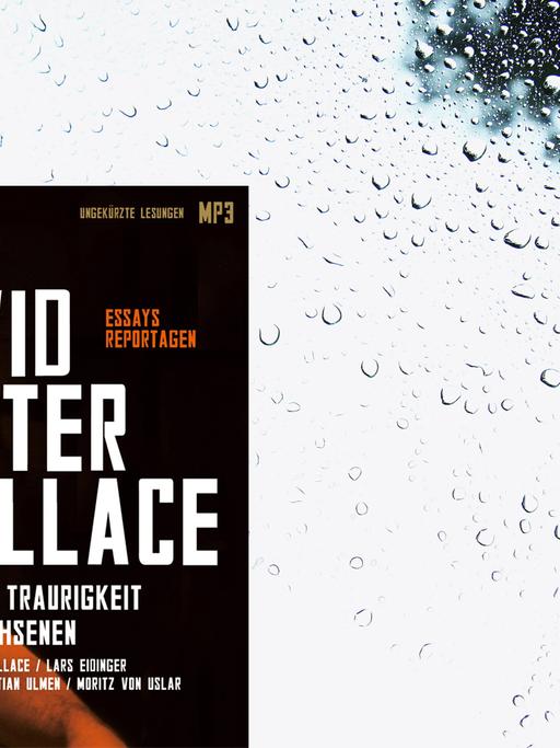 Buchcover: David Foster Wallace: Die wahre Traurigkeit der Erwachsenen (Hörbuch)