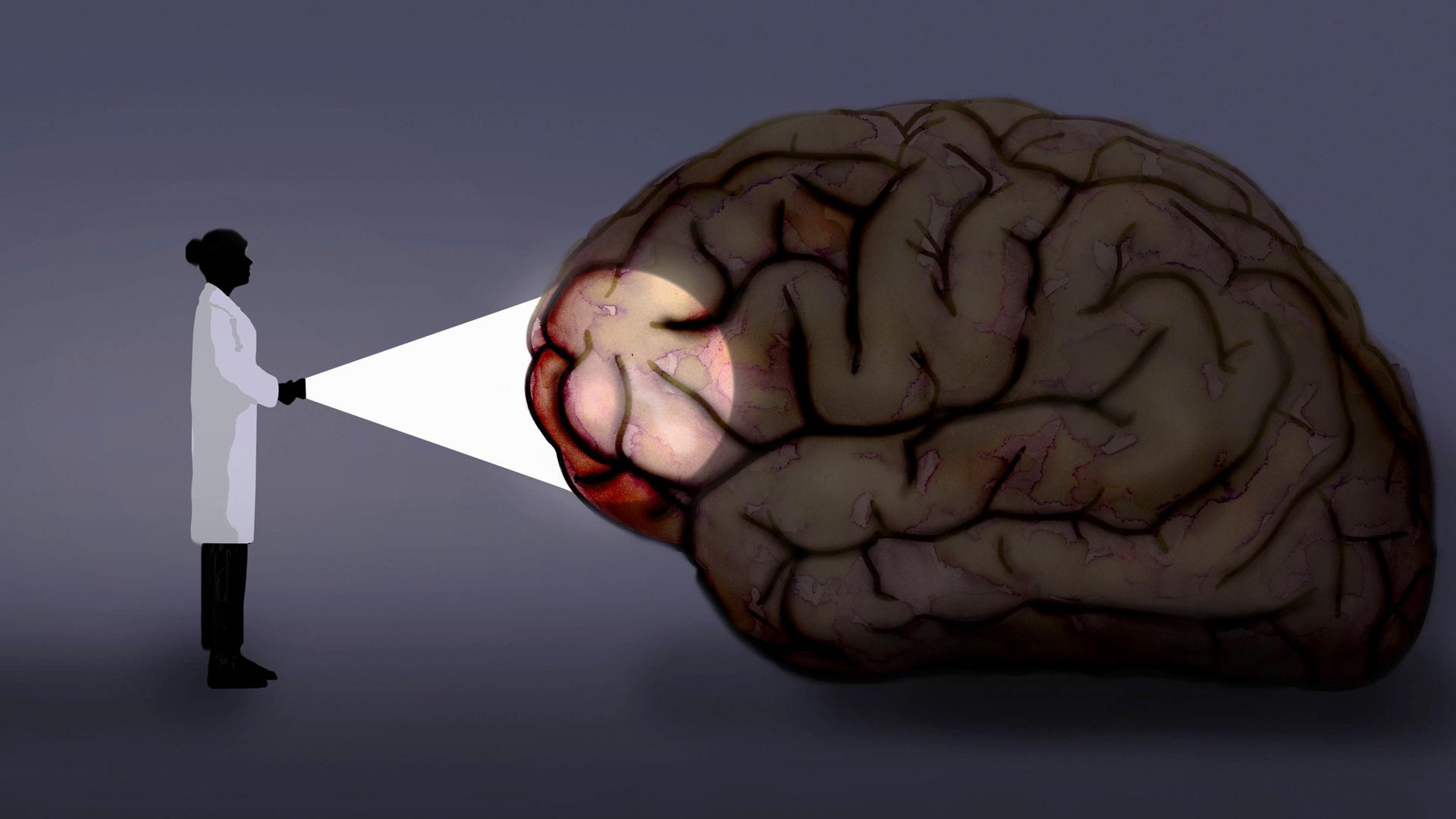 Wissenschaftlerin strahlt mit einer Taschenlampe auf ein menschliches Gehirn 