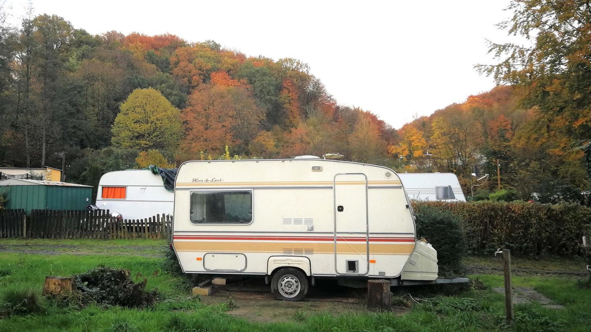 Mehrer Wohnmobile stehen bei Herbstwetter auf einem Campingplatz.