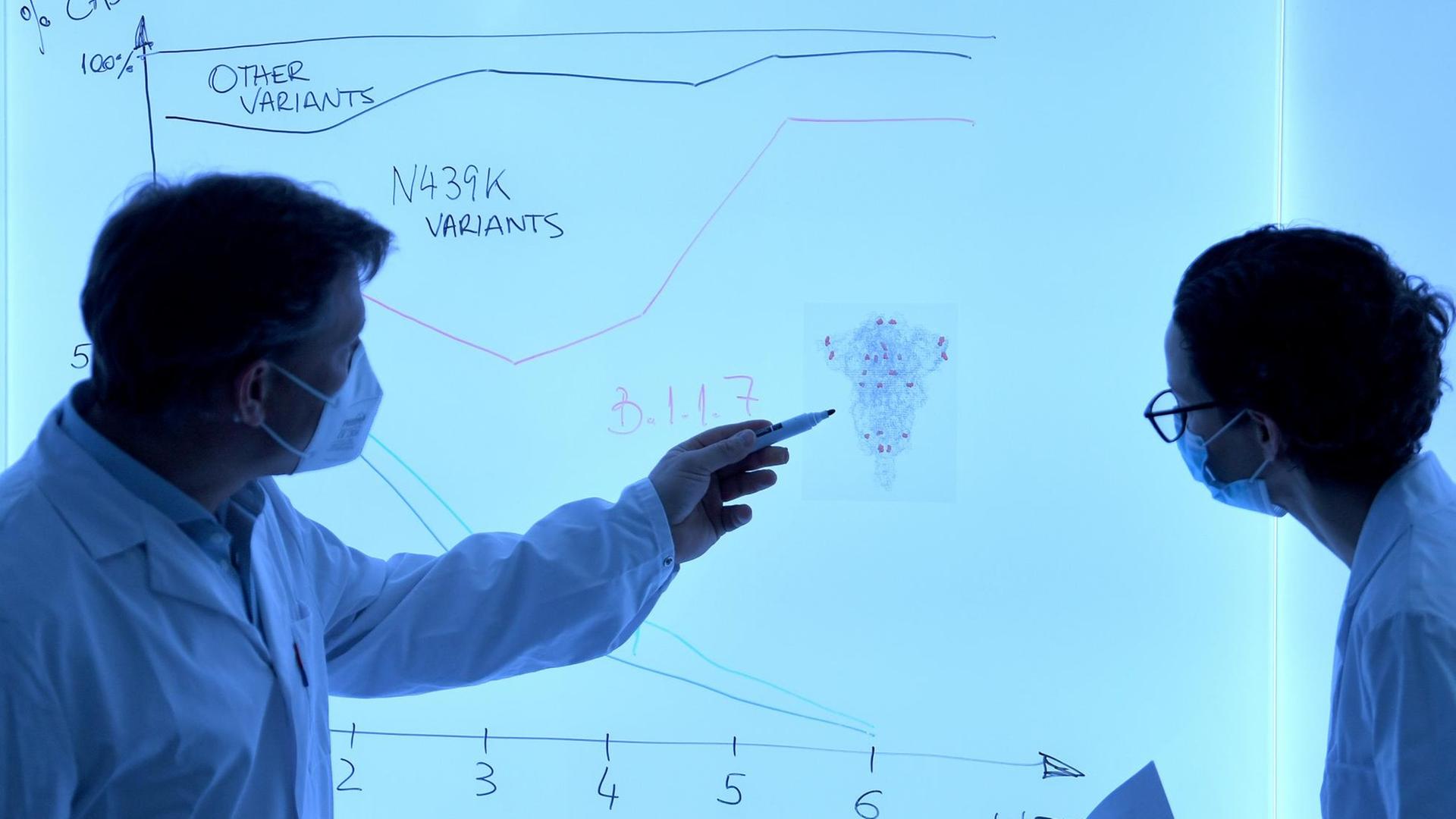 Eine Wissenschaftlerin und ein Wissenschaftler - beide mit weißem Kittel und Atemschutzmaske bekleidet - diskutieren vor einer weißen Tafel, auf die ein Diagramm gezeichnet ist. Das Diagramm zeigt mögliche Mutationsverläufe des Coronavirus.
