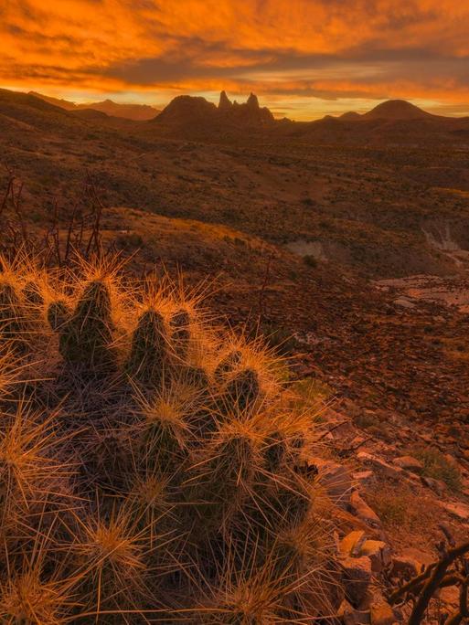 Sonnenaufgang im Big Bend National Park in Texas