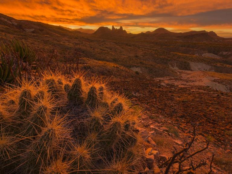 Sonnenaufgang im Big Bend National Park in Texas