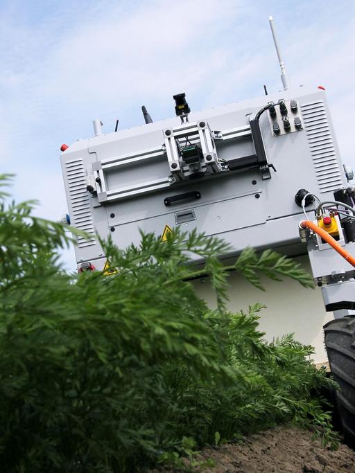 Das Forschungsmodell eines Roboters, der Unkraut jätet.