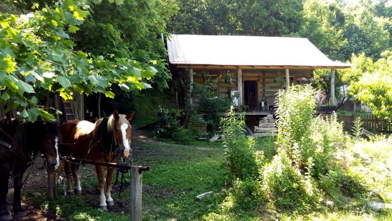 Paul Edwards Farm: Das Blockhaus mit den Pferden davor.