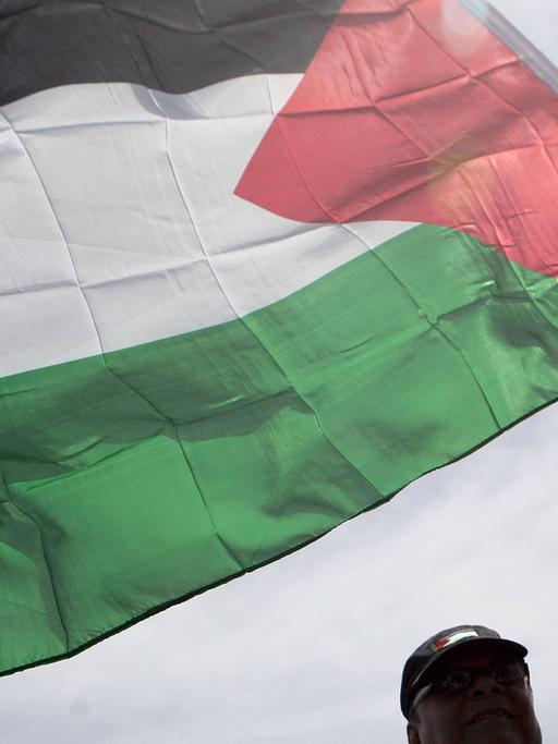 Ein Mann schwenkt eine palästinensische Flagge.