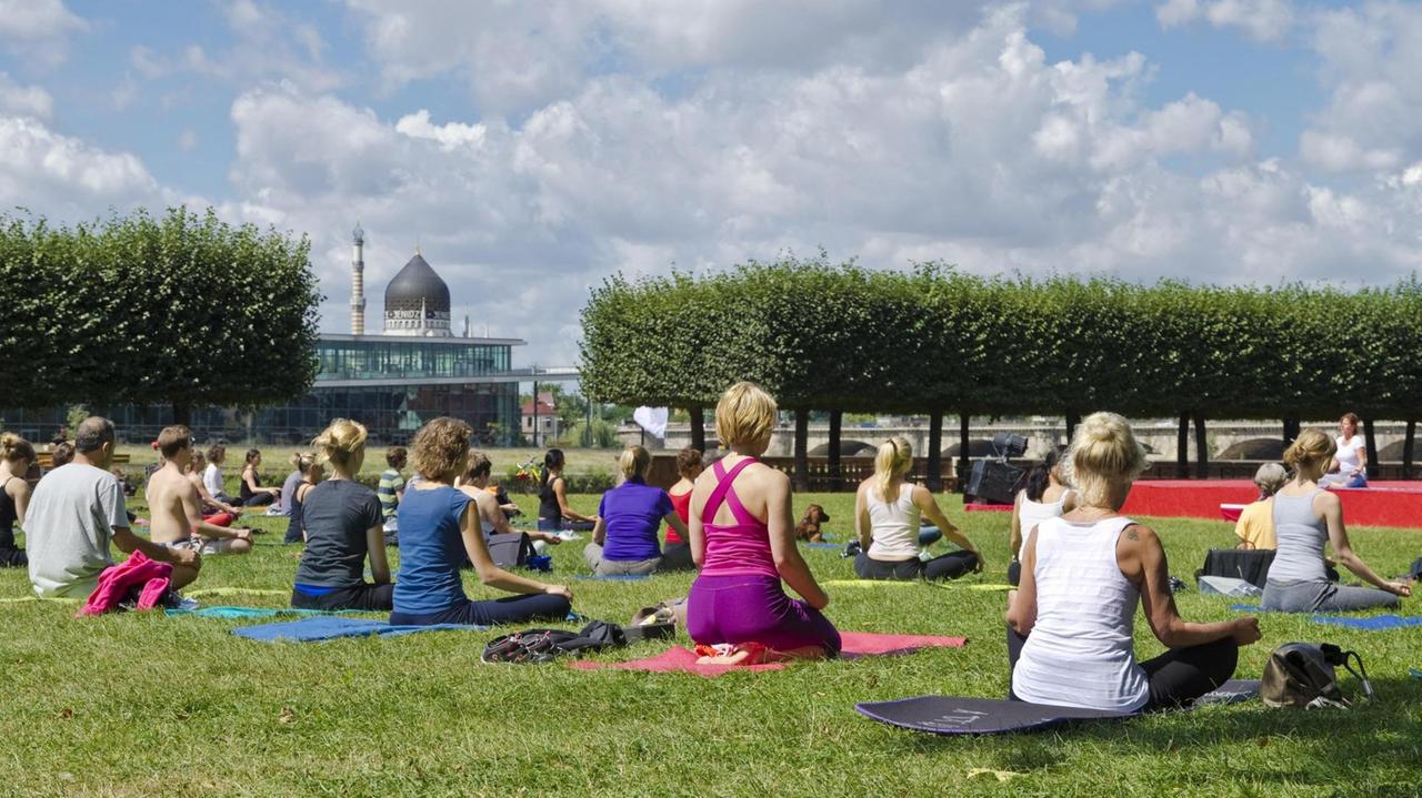 Yoga-Session an der frischen Luft, auf der Elbwiese, Dresden.