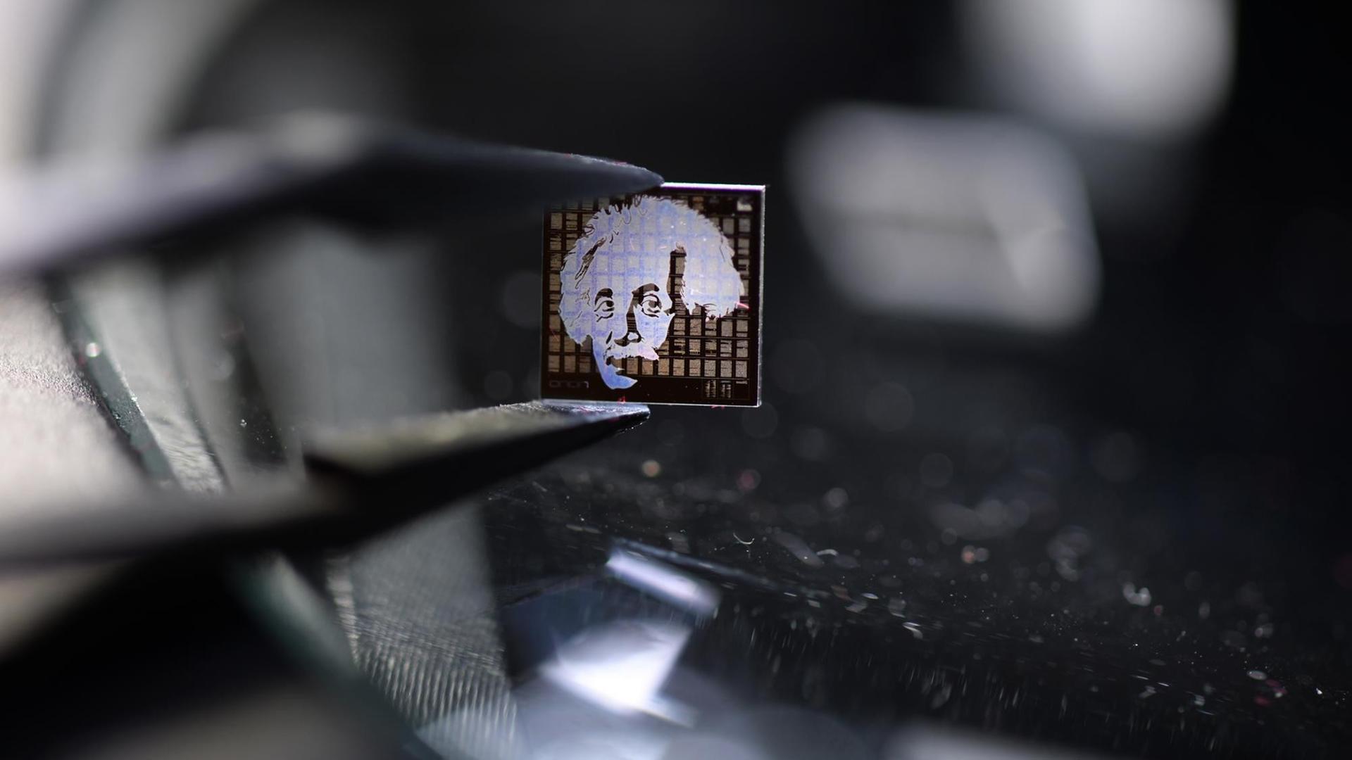 Ein Chip aus Quarzglas mit einem Albert-Einstein-Motiv darauf wird mit einer Pinzette über einen beleuchteten Mikroskoptisch gehalten.