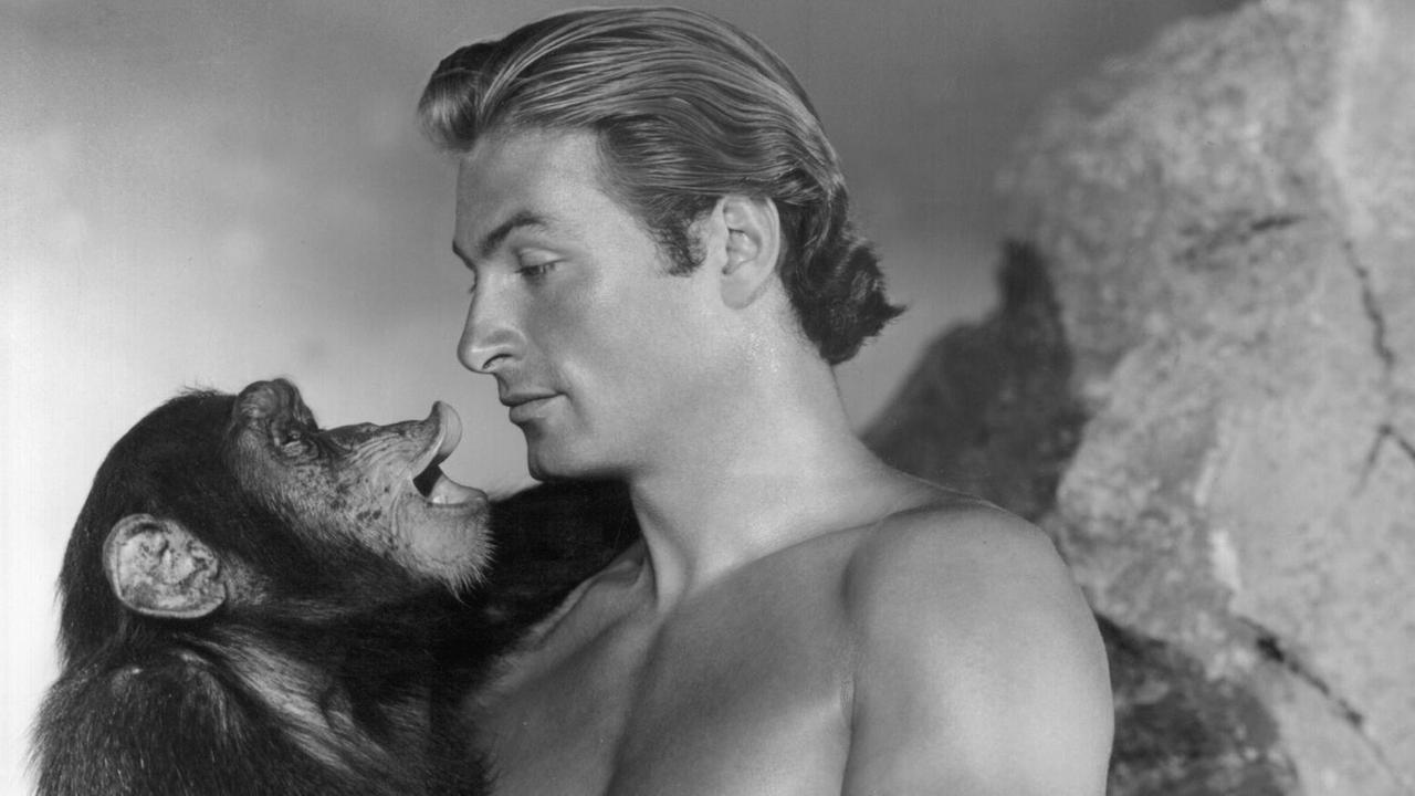 Der amerikanische Schauspieler Lex Barker wurde einem breiten Publikum durch seine Rollen als "Tarzan" und "Old Shatterhand" bekannt. Hier trägt er einen Schimpansen auf dem Arm. Lex Barker wurde am 8. Mai 1919 in Rye (New York) geboren und ist am 11. Mai 1973 in New York gestorben.