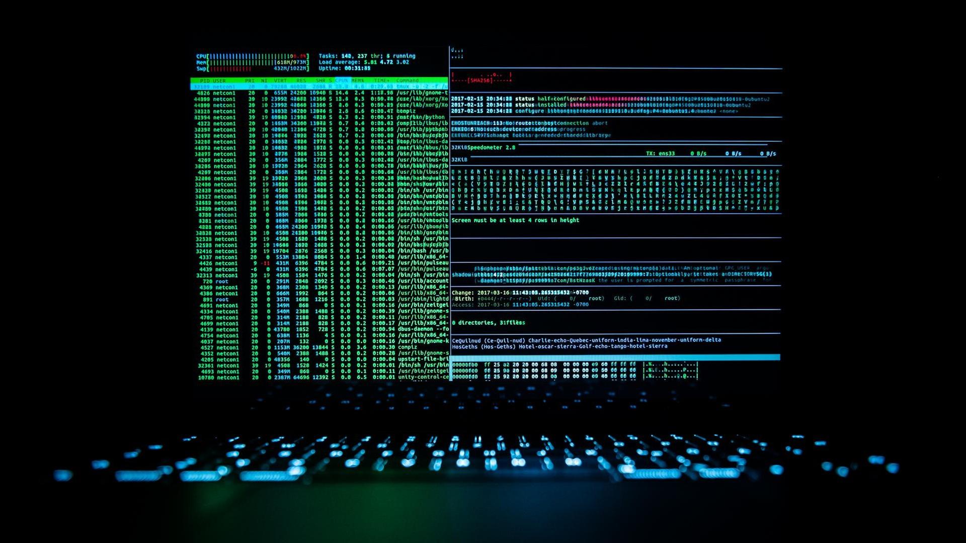 Ein Hackerprogramm ist auf einem Laptop geöffnet