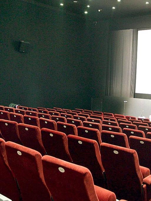 Ein leerer Kinosaal. Leere Sitzreihen vor einer leeren Leinwand.