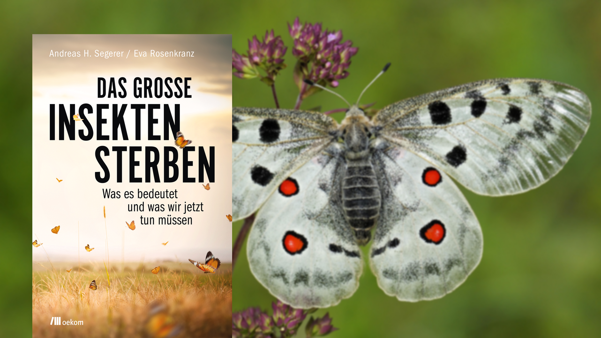 Cover von Andreas H. Segerer / Eva Rosenkranz: "Das große Insektensterben", im Hintergrund ist ein Apollofalter zu sehen