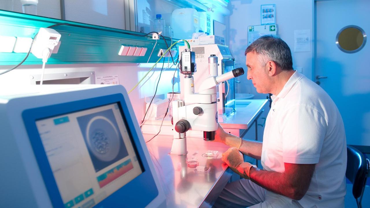 Laborleiter Philippe Cledon sitzt im Eizelllabor im Universitätsklinikum in Tübingen bei der Eizellensuche an einem Mikroskop.
