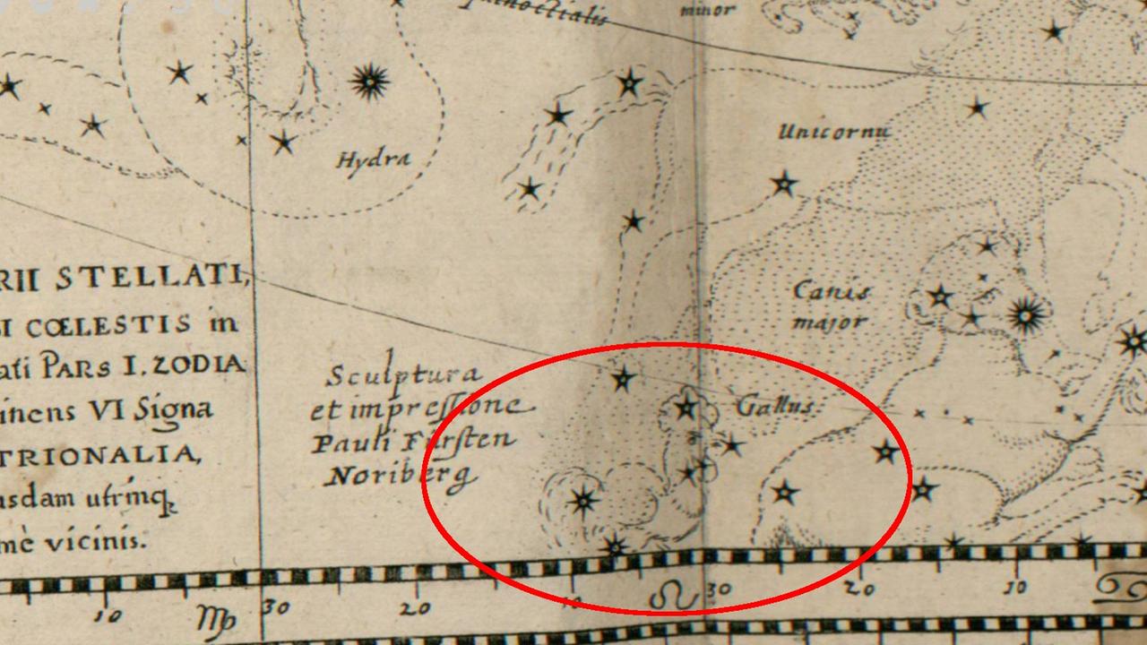 Das Sternbild Gallus (Hahn) wurde von Petrus Plancius östlich vom Großen Hund platziert, konnte sich aber nicht wirklich durchsetzen und verschwand nach einigen Jahrzehnten wieder Obs. Strasbourg