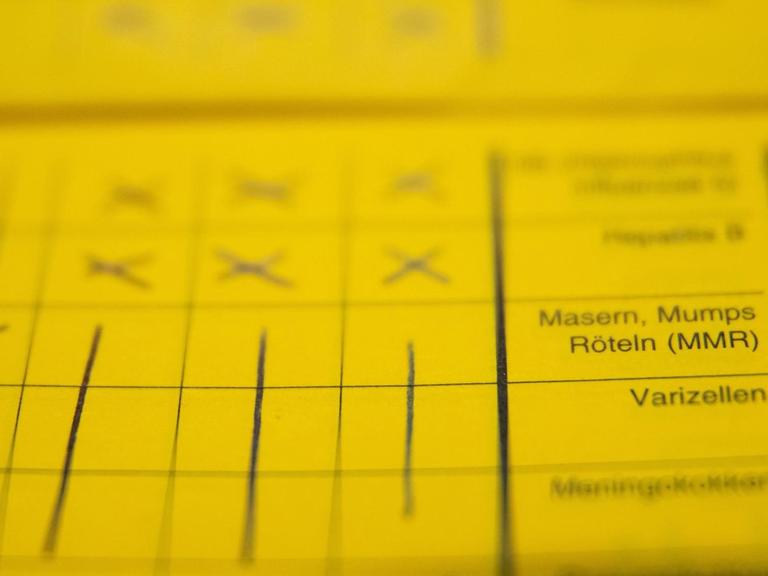 Ein Impfbuch mit angekreuzten Feldern von Masern, Mumps, Röteln, Varizellen, und Hepatitis B.