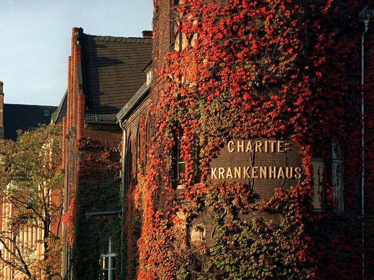 Berlin: Bunter wilder Wein in seiner Herbstfärbung umhüllt die Mauern der alten Gebäude der Berliner Charité. Die Geschichte des ältesten Berliner Krankenhauses geht auf das Jahr 1710 zurück.