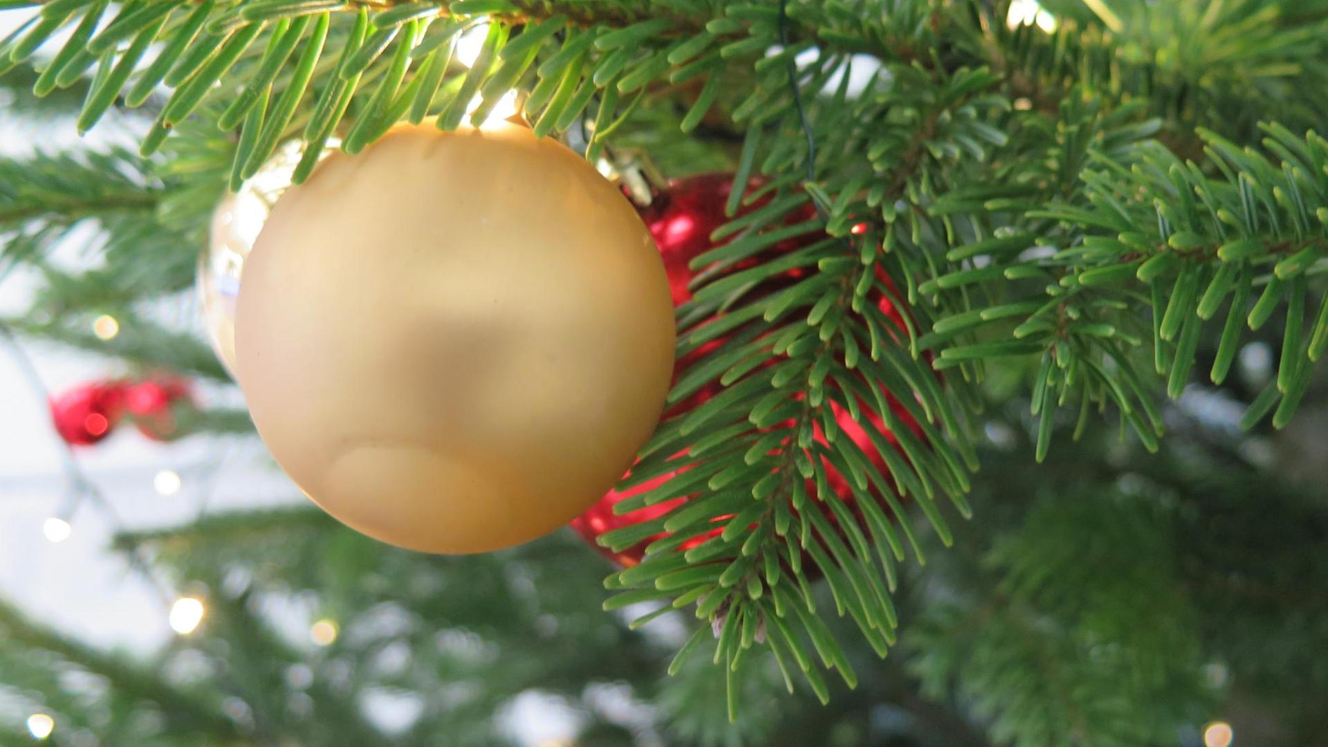 Drei Weihnachtskugeln in rot und gold hängen an einem Weihnachtsbaum