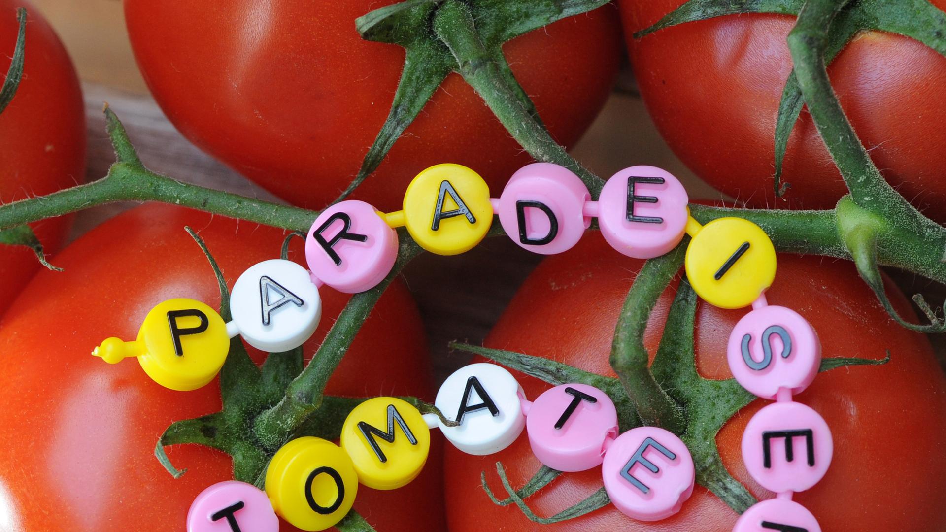 Tomaten, an denen auch der Begriff "Paradeiser" steht.
