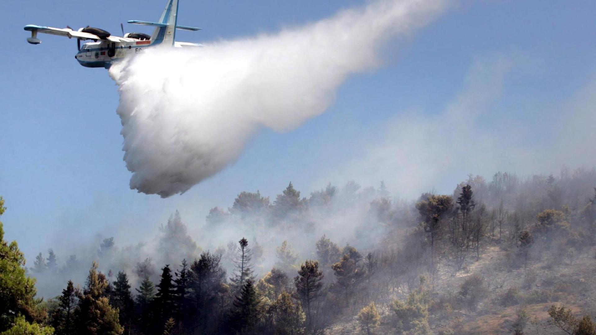 Ein Flugzeug wirft Wasser ab, um Waldbrände aus der Luft zu löschen.
