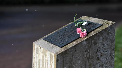 Nelken liegen auf dem Gedenkstein für die NSU-Opfer auf dem Halitplatz in Kassel.