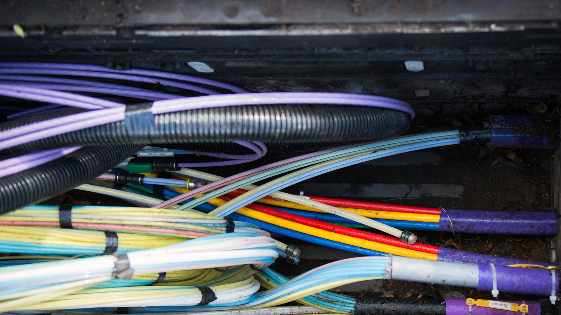 Zahlreiche Glasfaserkabel unter anderem zur Übertragung von Hochgeschwindigkeitsinternet.