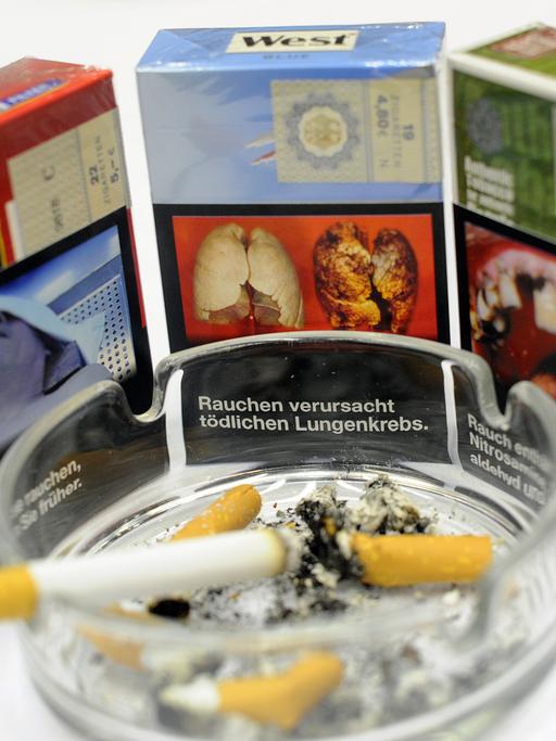 Zigarettenschachteln mit einem möglichen einheitlichem Aussehen und Aufdrücken von Folgeschäden des Zigarettenkonsums stehen am Freitag (14.09.2012) auf der Eröffnungs-Pressekonferenz zur Tabak-Fachmesse inter-tabac in den Westfalenhallen in Dortmund hint