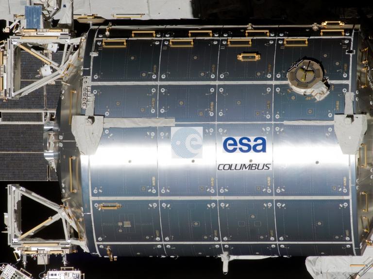 Vorerst keine Backstube: Europas Raumlabor Columbus