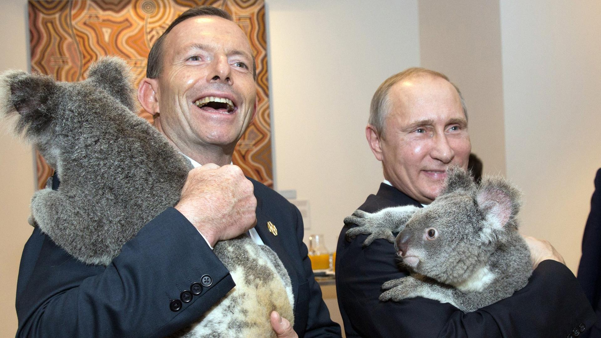 Australiens Premierminister Tony Abbott und Russlands Präsident Wladimir Putin halten beim G20-Gipfel in Brisbane/ Australien Koalabären auf dem Arm und freuen sich.