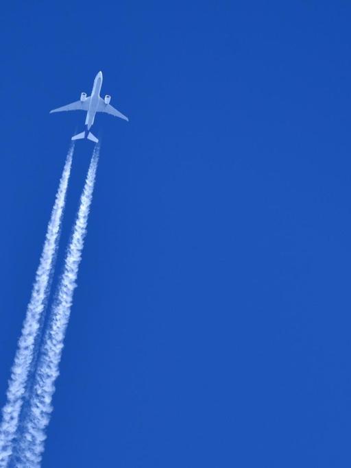 Ein Flugzeug hinterlässt Kondesstreifen am blauen Himmel. Außerdem ist ein Vogel zu sehen.
