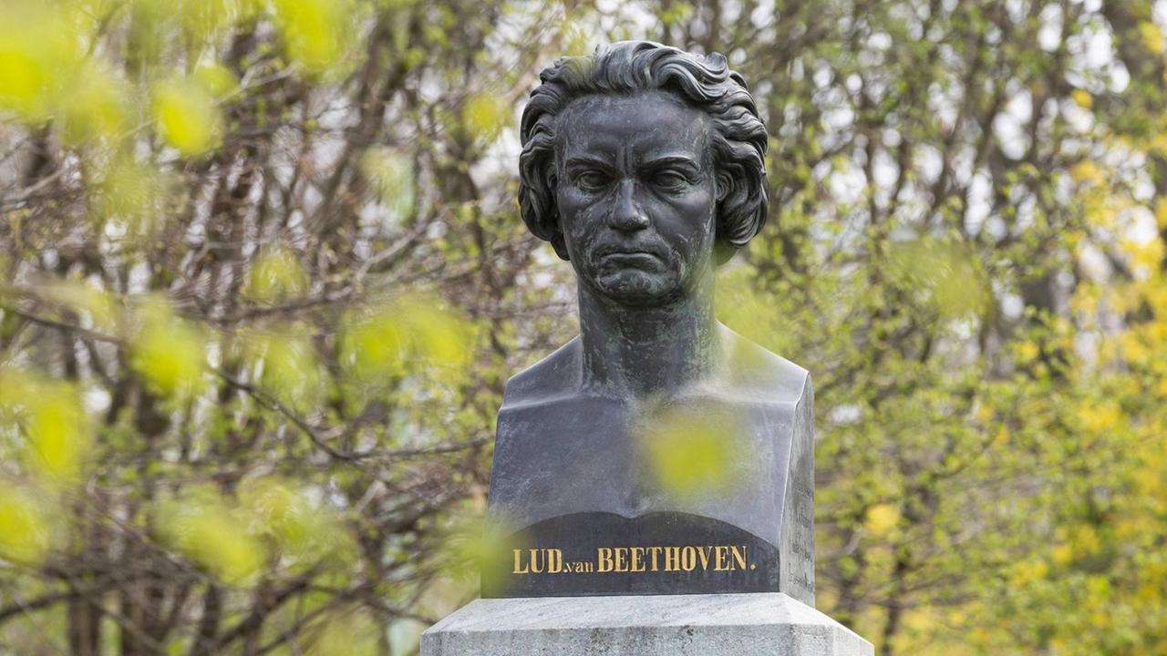 Beethovens Kopf inmitten aufkeimenden Grüns in einem Park.