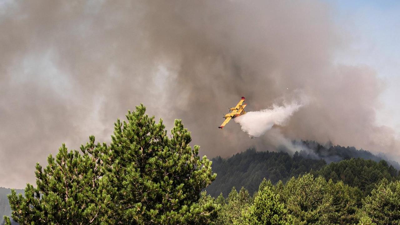 Ein Löschflugzeug fliegt über eine Waldfläche, aus der dunkle Rauchschwaden aufsteigen. Hinter dem Flugzeug ist eine weiße Wasserwolke zu sehen.