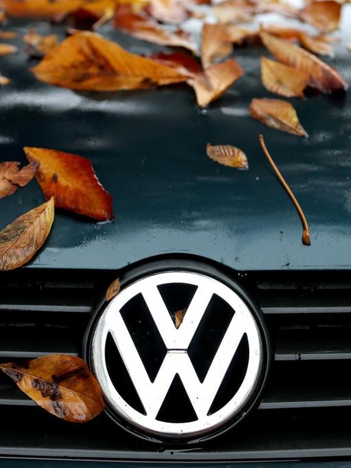 Herbstlaub liegt auf der Motorhaube eines VW-Polo