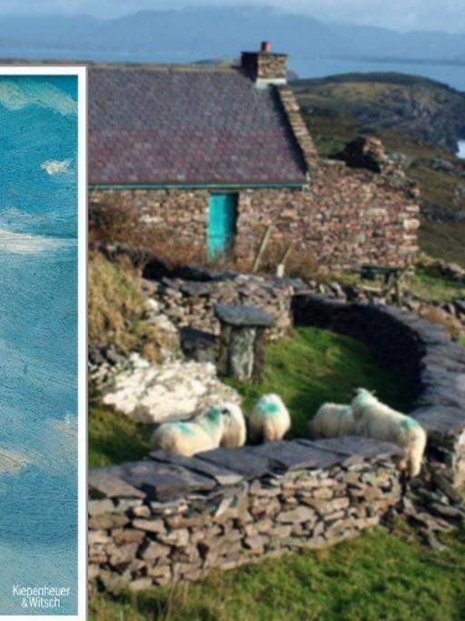 Cover John Banville: "Die blaue Gitarre"