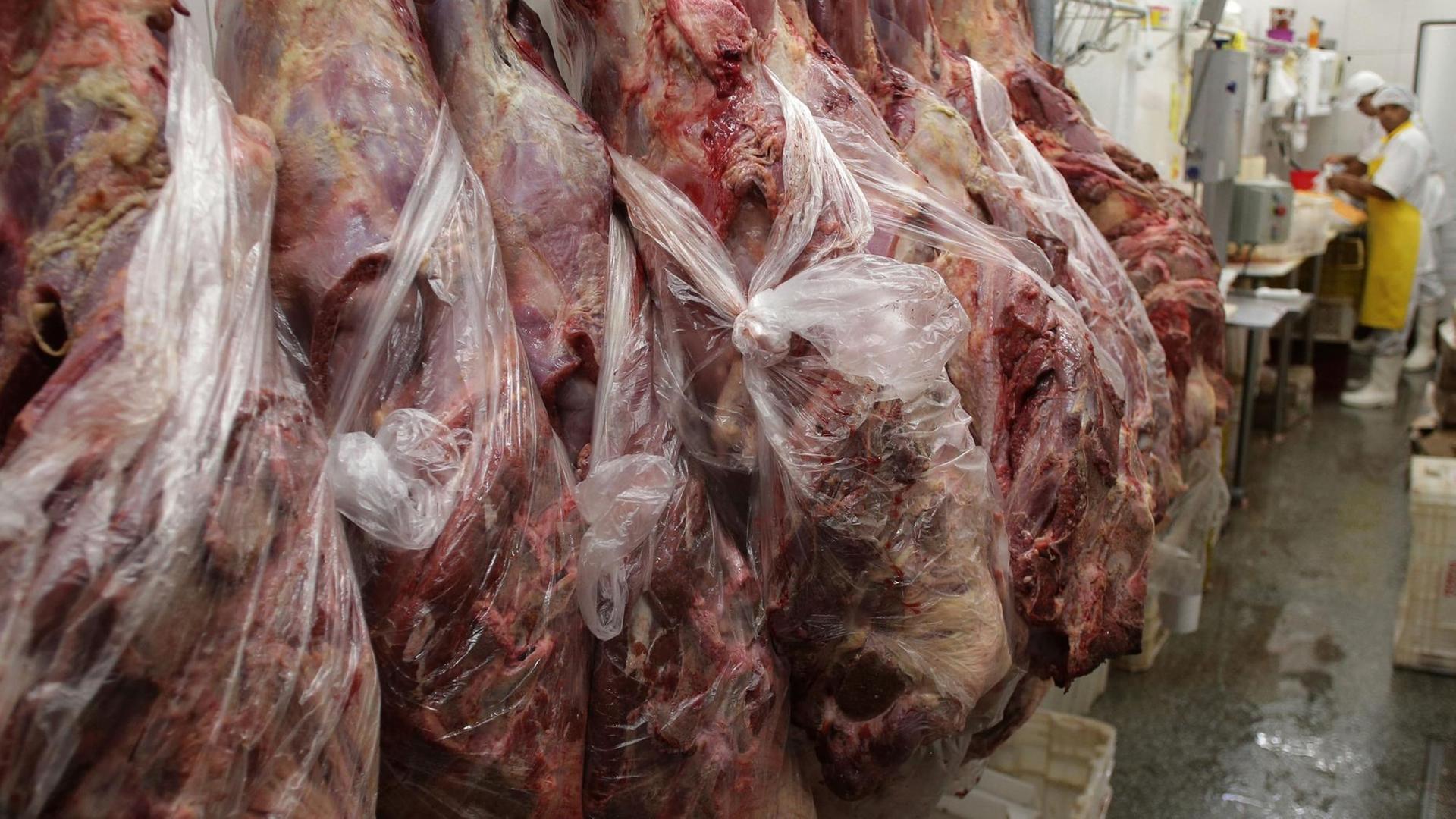 Aufgehängtes Fleisch in einem brasilianischen Schlachthof. Aufgehängtes Fleisch in einem brasilianischen Schlachthof.