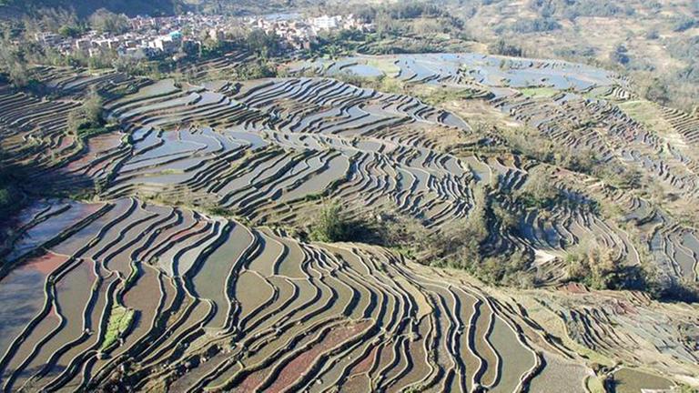 Blick auf die Hani-Reisterrassen