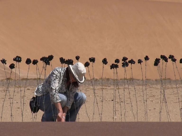 Imke Rust steckt schwarze Rosen in die Wüste in Namibia