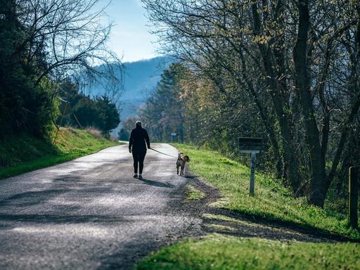 Eine Person macht mit seinem Hund einen Spaziergang. Er geht eine einsame Straße entlang, rechts und links ist Wald, die Sonne scheint.