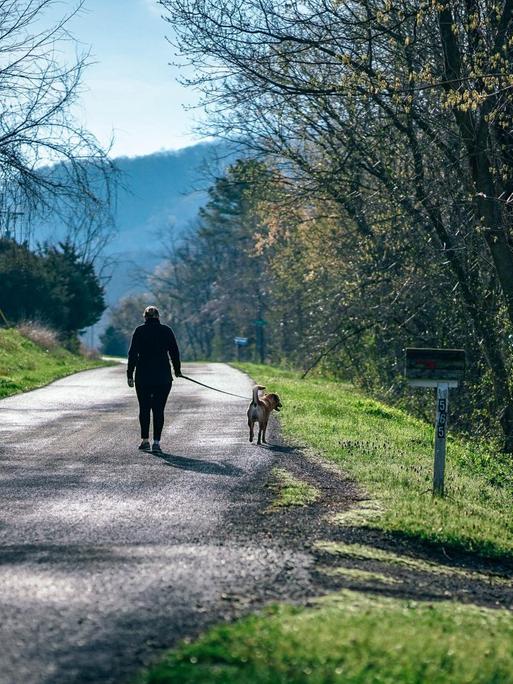 Eine Person macht mit seinem Hund einen Spaziergang. Er geht eine einsame Straße entlang, rechts und links ist Wald, die Sonne scheint.