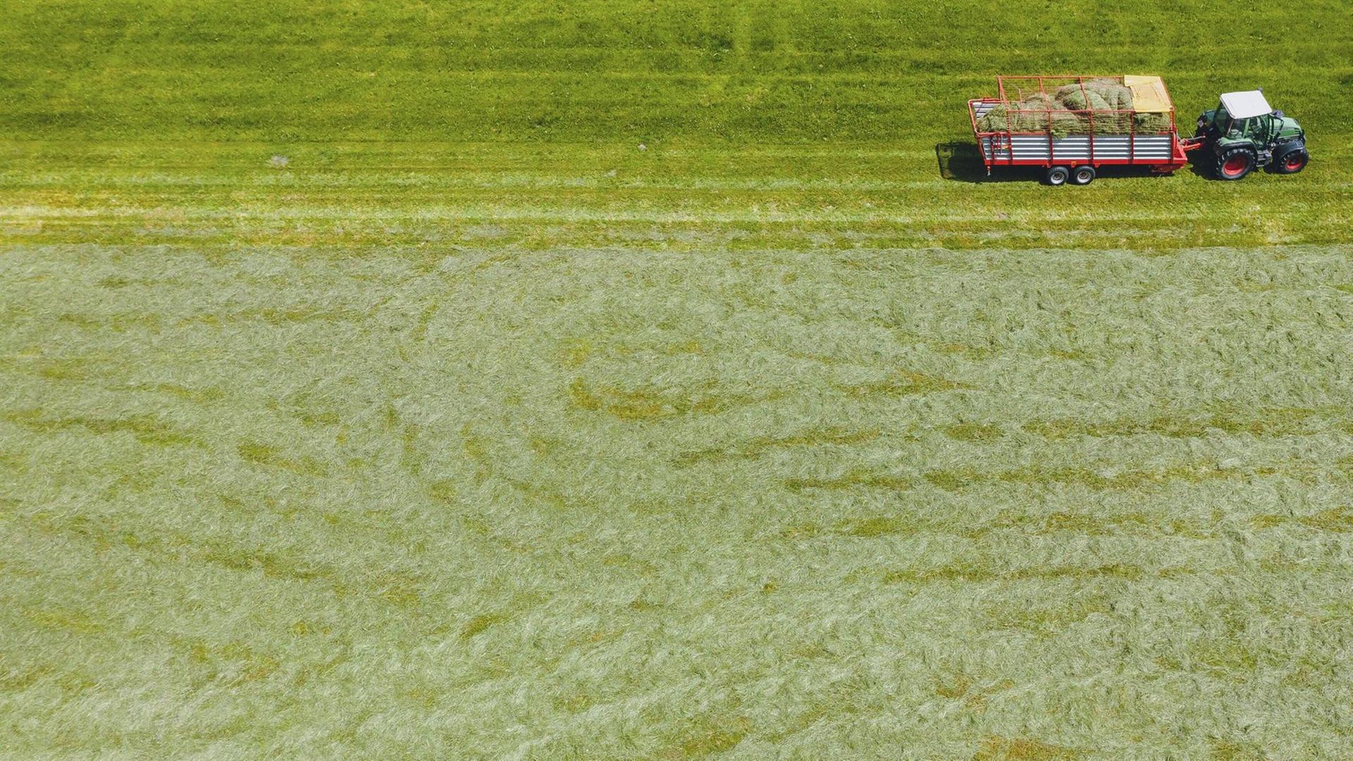 Luftbild von einem Landwirt, der mit seinem Traktor über eine Wiese fährt.