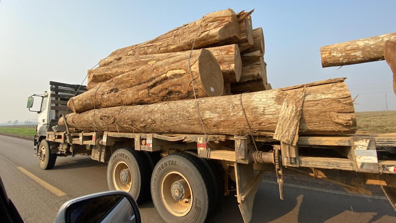 Ein beladener Holztransporter fährt auf einer Straße im Bundesstaat Acre